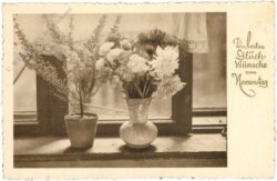 namenstag blumen namenstag blumen