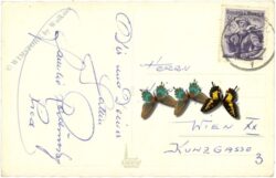 ostern, eier mit schlüsselblume