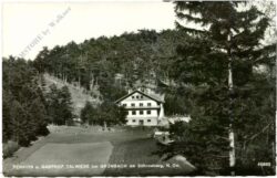 grünbach am schneeberg, pension und gasthof talwiese