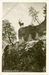 breitnau, hirschsprung höllental