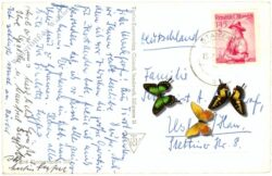 reutte, plansee multiansicht