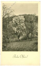 ostern, blühende bäume