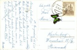 maria enzersdorf, lourdes grotte in der wallfahrtskirche