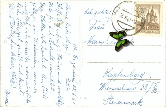 maria enzersdorf, lourdes grotte in der wallfahrtskirche