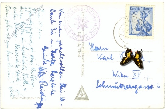 serfaus, pezid u. arrezjoch v. d. scheid (skigebiet kölnerhaus)