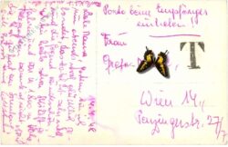 innsbruck, triumpfpforte