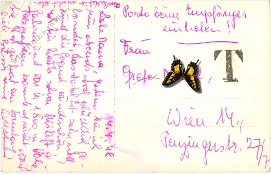 innsbruck, triumpfpforte