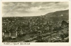 neustadt an der weinstrasse, gesamtansicht