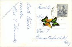 mürzsteg, wasserfall zum "toten weib"