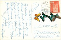 vierwaldstättersee, multiansicht