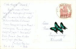 aflenz, mit hochschwab