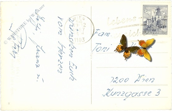 weihnachten, kerze mit blumengesteck