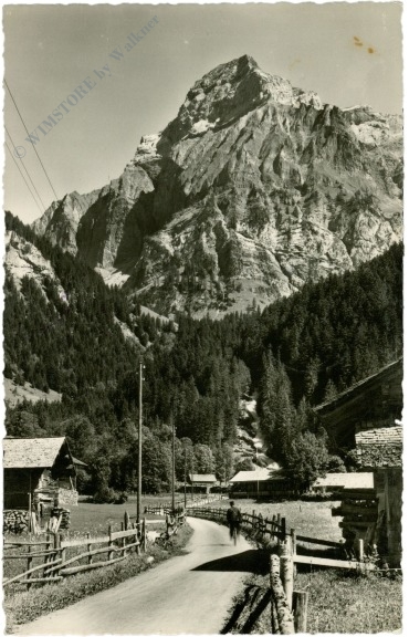 lenk i.s., simmenfälle