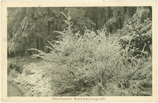 weihnachten, verschneiter wald