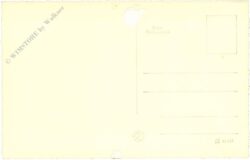 weihnachten, beleuchtete tanne