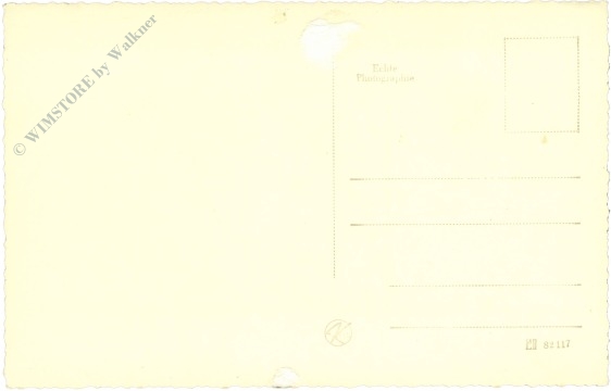 weihnachten, beleuchtete tanne