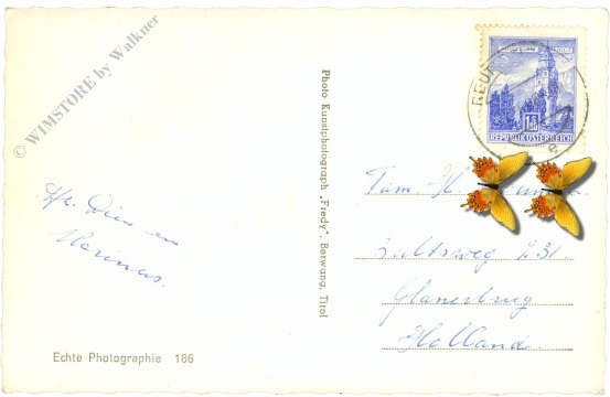 berwang, multiansicht