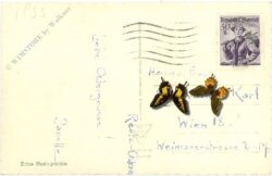 reutte, mit gernspitze