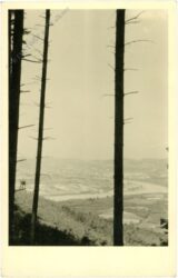 ausblick ins tal ausblick ins tal