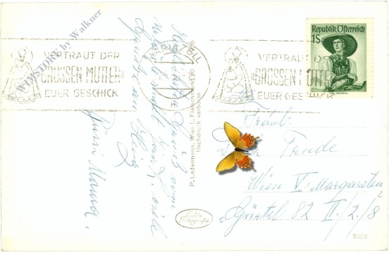 mariazell, gegen student