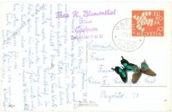 susten, multiansicht