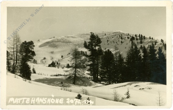 schönfeld, mattehanshöhe