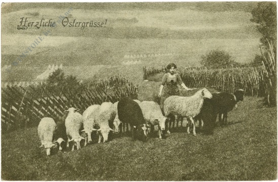 ostern, schafhirtin mit herde