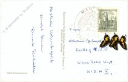 kötschach mauthen, mit pollnik, cellon und kellerwand