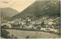 waldegg, ortsansicht