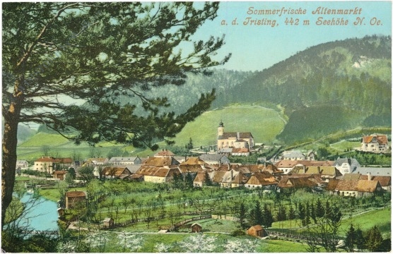 altenmarkt an der triesting, ortsansicht