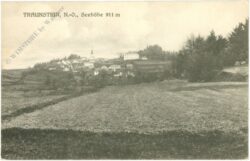 traunstein, ortsansicht