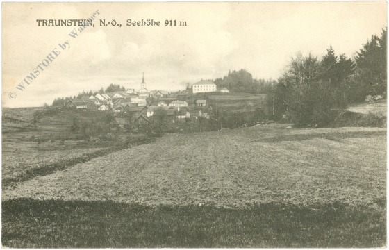 traunstein, ortsansicht
