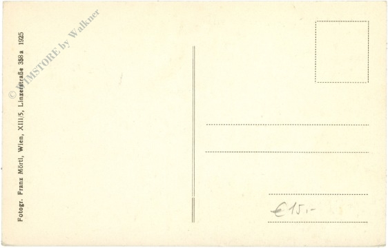 traunstein, ortsansicht