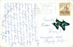 st. jakob im defereggental, mit blick ins trojertal