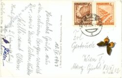 windischgarsten, ansicht