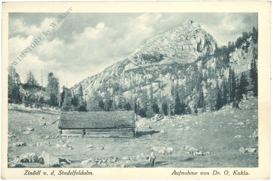 gesäuse, zinödl v.d. stadelfeldalm