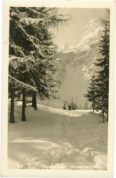 ehrwald, abfahrt von der ehrwalder alm