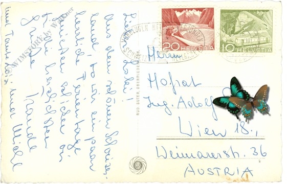 horgen, mit speer, schlinniserberg und mürtschenstock