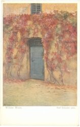 schuster, karl: wilder wein