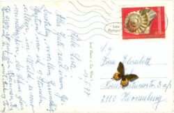 hollabrunn, bundes gymnasium