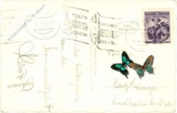 mariazell, ortsansicht, student