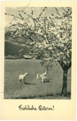 ostern, schafe auf einer wiese