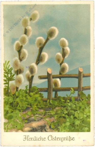 ostern, palmkätzchen