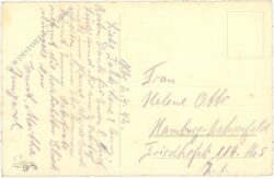 ostern, palmkätzchen