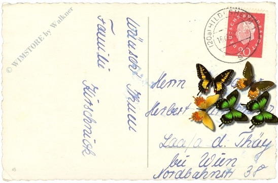 weihnachten, engerl sitzt am fenster