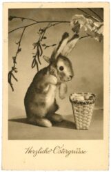 ostern, osterhase mit korb