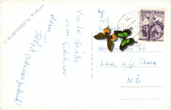 saalbach hinterglemm, gegen talschluss