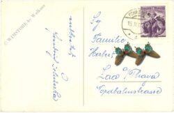 ostern, blumen, hase und eier