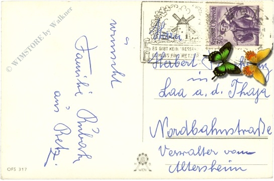 neujahr, zweig mit glücksbringer