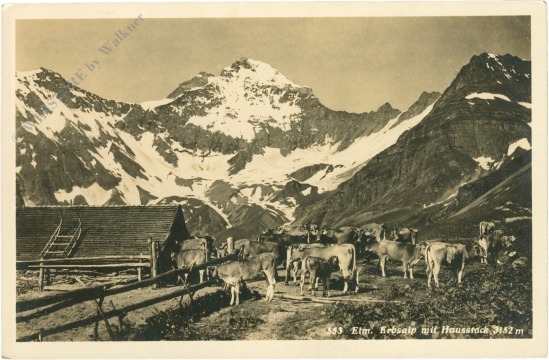 erbsalp, mit hausstock